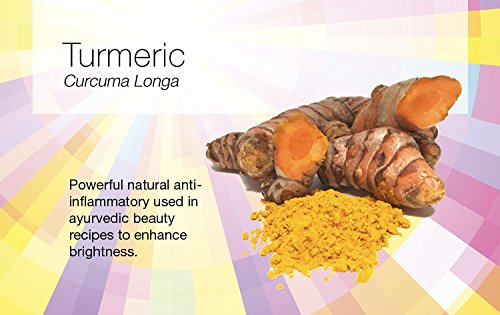 SUNDARI Brightening Glow Turmeric Cream - For a Bright and Glowing complexion - with Turmeric, a powerful antioxidant - for All Skin Types