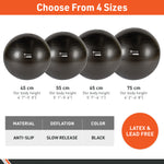 BodySport® Eco Series Exercise Balls