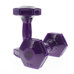 Purple dumbbells with visible brand logo on a white background