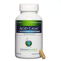 Enzyme Science - Acid Calm, Occasional Heartburn & Indigestion, 90 Vegetarian Capsules