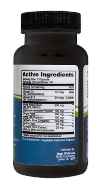 Back Supplement