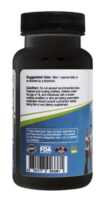 Back Supplement