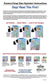 Posture Pump® Aid For Neck and Back Discomfort - Deluxe Full Spine Model 4100-S
