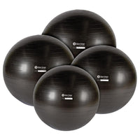 Body Sport® Studio Series Charcoal Fitness Balls