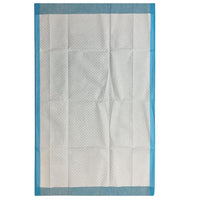BodyMed® Disposable Underpad, 23" x 36"