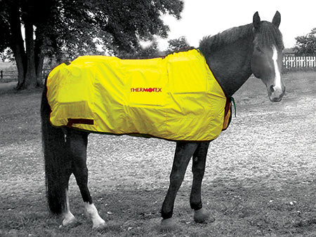 Thermotex Equine Far Infrared Heating - 12 Pad Blanket